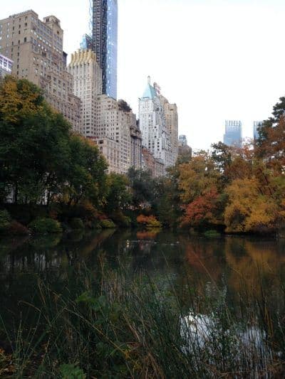 Travel tips Central Park New York