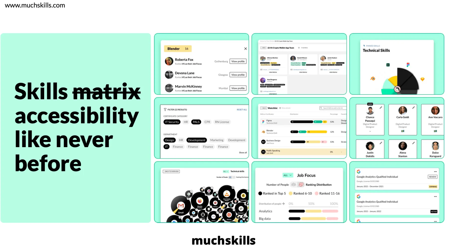 Example: A slide we created to show how the product is focused on skills visualisation.